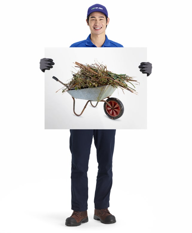 Yard Waste or Green Waste for removal and disposal by 1-800-GOT-JUNK? truck team member